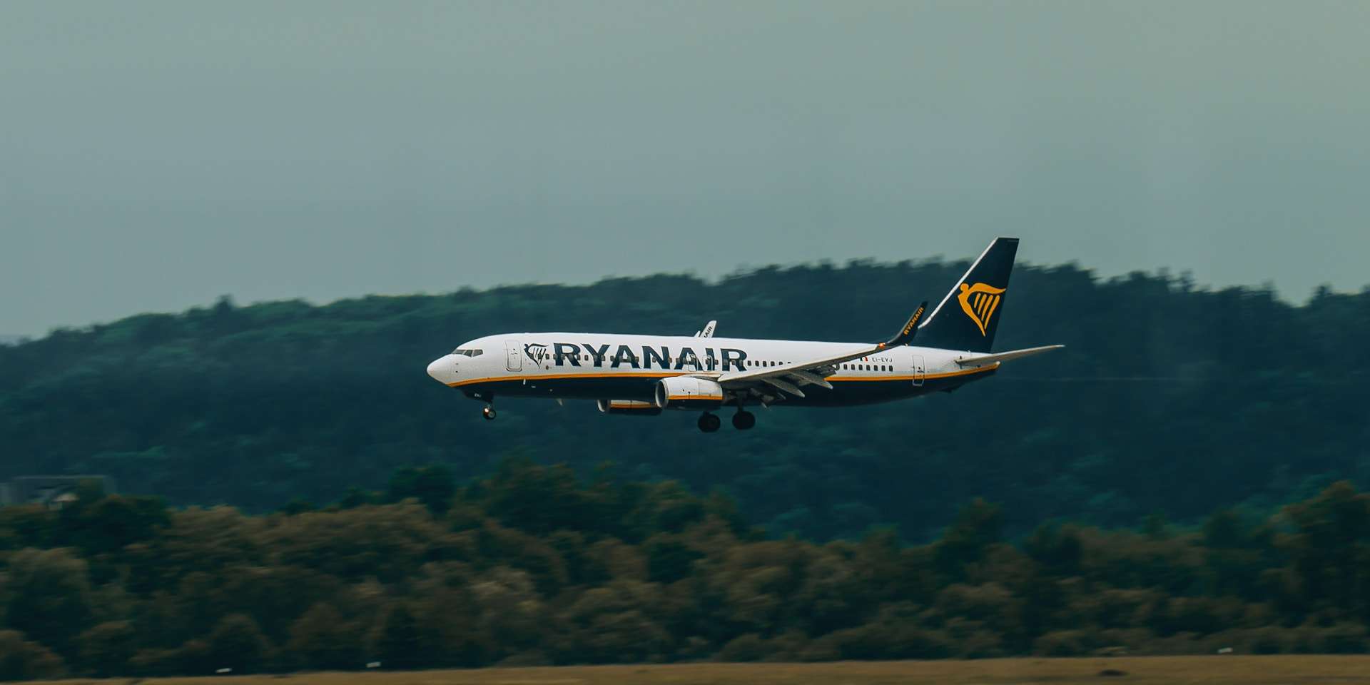 jak unikać opłat w ryanair | Drava - Dystrybutor produktów Peli jak unikać opłat w ryanair