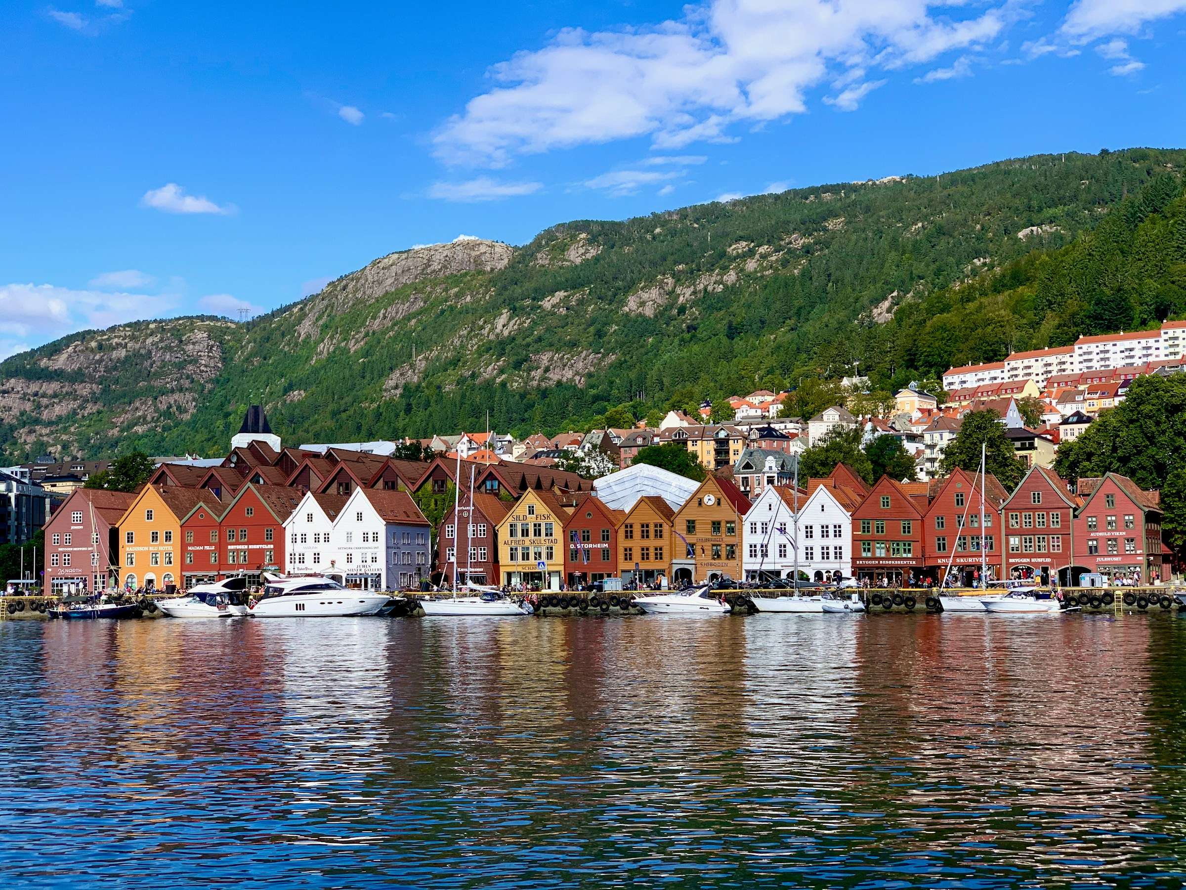 Bergen Norwegia chłodny oddech fiordów | Drava - Dystrybutor produktów Peli Bergen Norwegia chłodny oddech fiordów