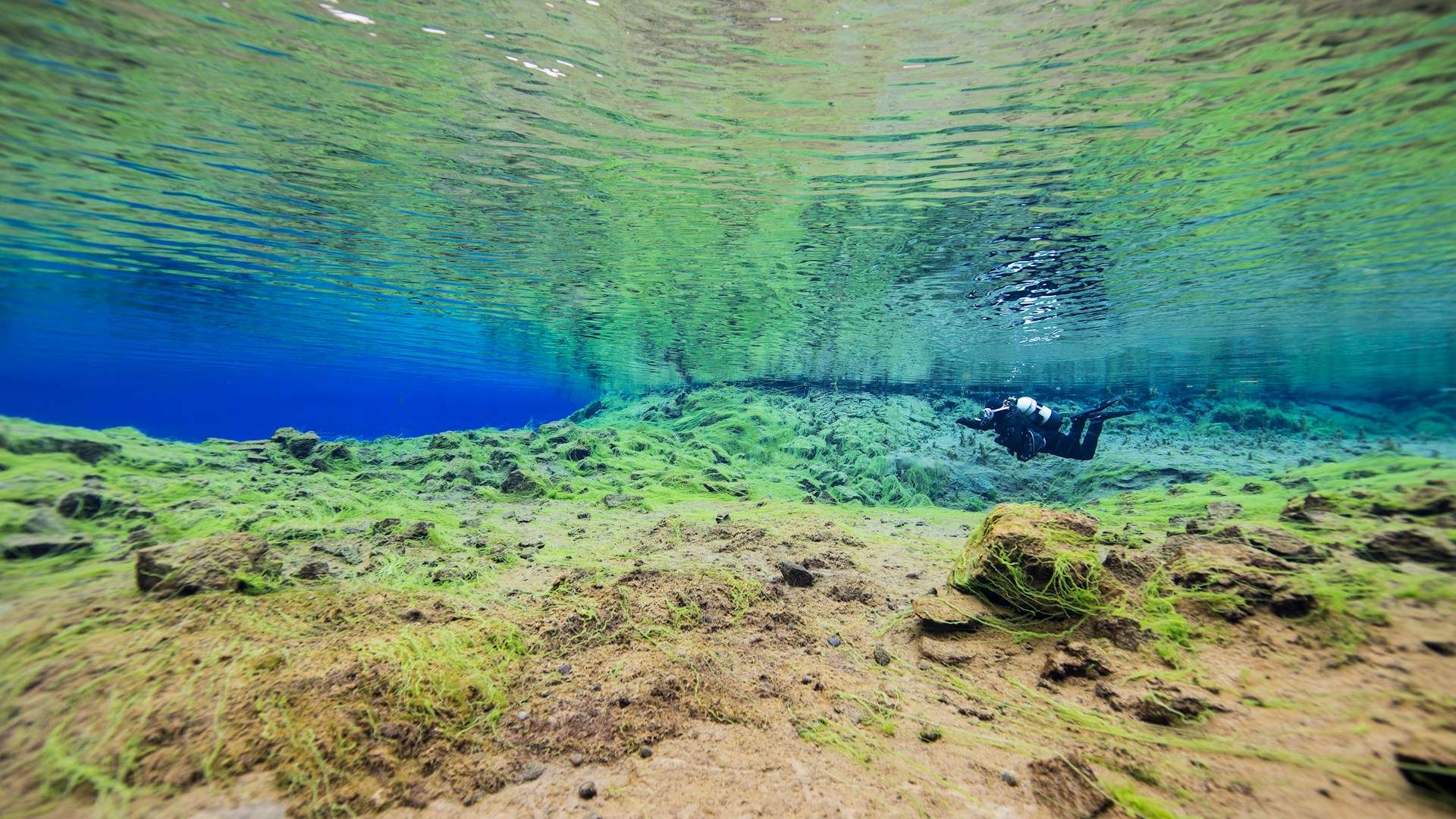 Silfra Islandia nurkowanie