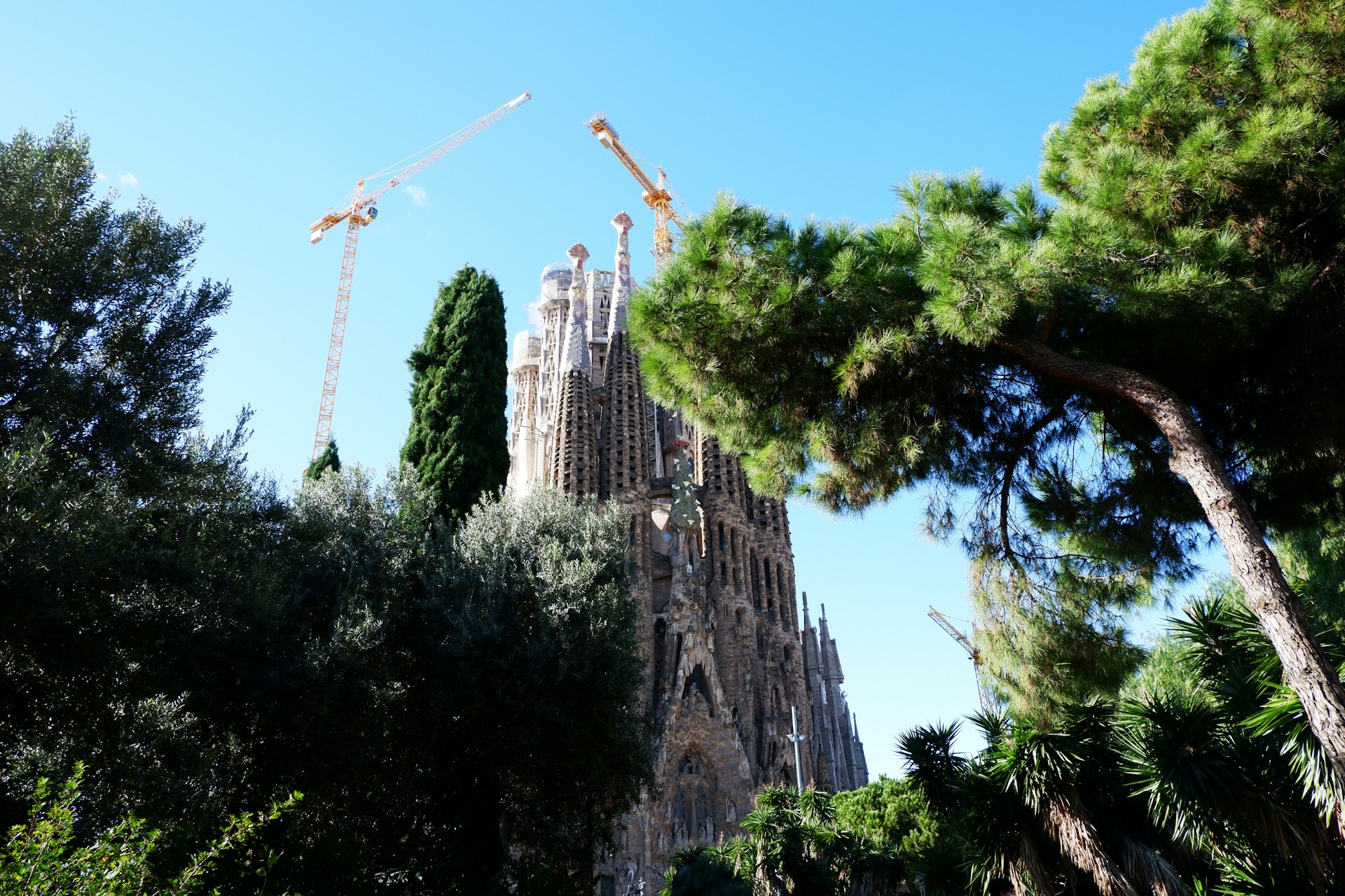 Walencja czy Barcelona które miasto wybrać